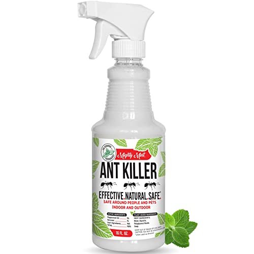 Mighty Mint - 16oz Natural Peppermint Oil Ant Killer and Repellent Spray - Safe ... - Image 2