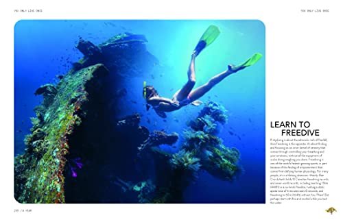 Lonely Planet You Only Live Once - Image 16