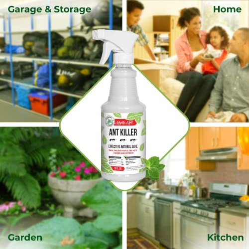 Mighty Mint - 16oz Natural Peppermint Oil Ant Killer and Repellent Spray - Safe ... - Image 5