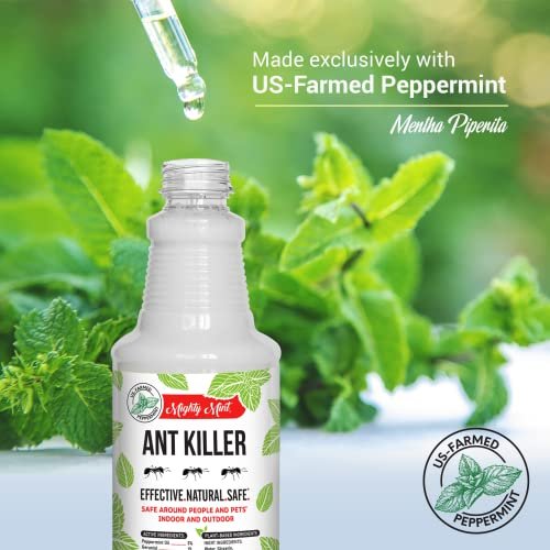 Mighty Mint - 16oz Natural Peppermint Oil Ant Killer and Repellent Spray - Safe ... - Image 6