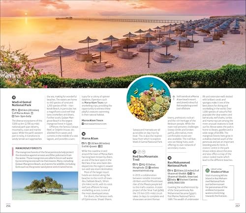 DK Egypt (Travel Guide) - Image 6