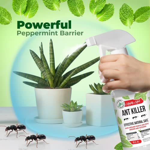 Mighty Mint - 16oz Natural Peppermint Oil Ant Killer and Repellent Spray - Safe ... - Image 3
