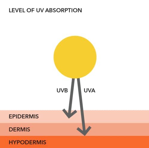 Dr. Dennis Gross All-Physical Lightweight Wrinkle Defense Broad Spectrum Sunscre... - Image 8