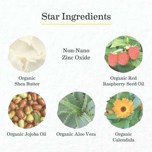 Earth Mama Uber-Sensitive Mineral Sunscreen Lotion SPF 40 | Reef Safe, Non-Nano ... - Image 5