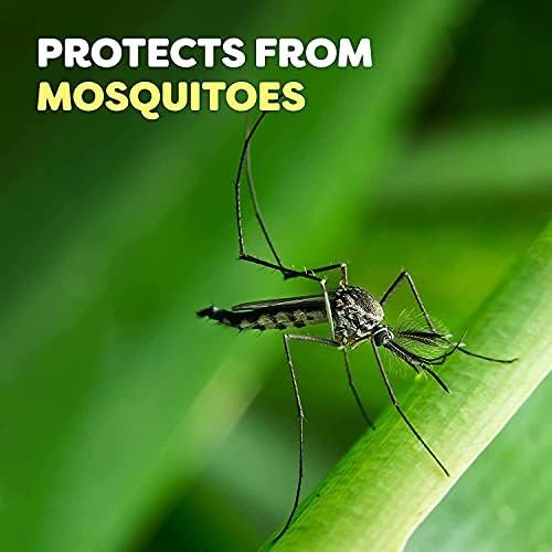 OFF! Family Care, Insect Repellent II Clean Feel, 6 oz (Pack of 4) - Image 4