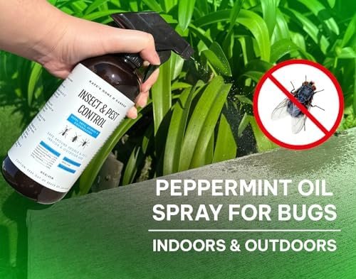 Kate's Home & Garden Peppermint Oil Spray for Bugs, Insects, Spiders. Indoor Rep... - Image 6