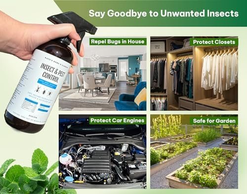 Kate's Home & Garden Peppermint Oil Spray for Bugs, Insects, Spiders. Indoor Rep... - Image 4