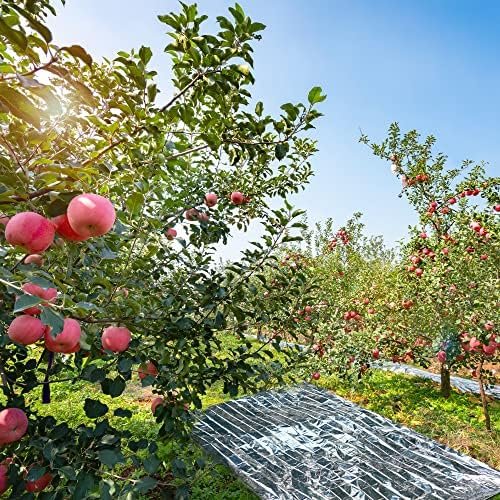 Plant Growth Mylar Films High Reflective Mylar Film Garden Greenhouse Covering F... - Image 5